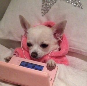 Meet your Posher, Brittney